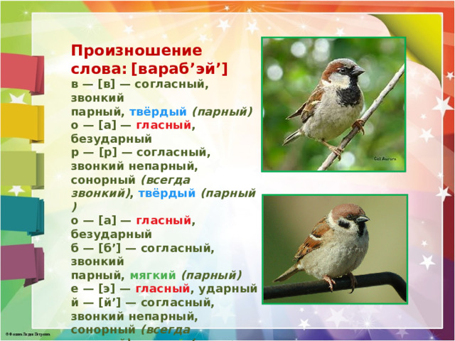 Произношение слова:  [вараб’эй’] в — [в] — согласный, звонкий парный,   твёрдый   (парный)  о — [а] —   гласный , безударный  р — [р] — согласный, звонкий непарный, сонорный  (всегда  звонкий) ,   твёрдый   (парный)  о — [а] —   гласный , безударный  б — [б’] — согласный, звонкий парный,   мягкий   (парный)  е — [э] —   гласный , ударный  й — [й’] — согласный, звонкий непарный, сонорный  (всегда звонкий) ,  мягкий   (непарный, всегда произносится мягко)