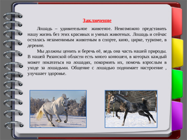 Заключение  Лошадь – удивительное  животное. Невозможно представить нашу жизнь без этих красивых и умных животных.   Лошадь и сейчас осталась незаменимым животным в спорте, кино, цирке, туризме, в деревне. Мы должны ценить и беречь её, ведь она часть нашей природы. В нашей Рязанской области есть много конюшен, в которых каждый может покататься на лошадях, покормить их, помочь взрослым в уходе за лошадьми. Общение с лошадью поднимает настроение , улучшает здоровье.