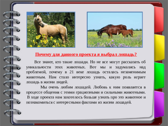 Почему для данного проекта я выбрал лошадь?  Все знают, кто такие лошади. Но не все могут рассказать об уникальности этих животных. Вот мы и задумались над проблемой, почему в 21 веке лошадь осталась незаменимым животным. Нам стало интересно узнать, какую роль играет лошадь в жизни людей.     Мы очень любим лошадей. Любовь к ним появляется в процессе общения с этими грациозными и сильными животными.  В ходе проекта нам захотелось больше узнать про это животное и познакомиться с интересными фактами из жизни лошадей.