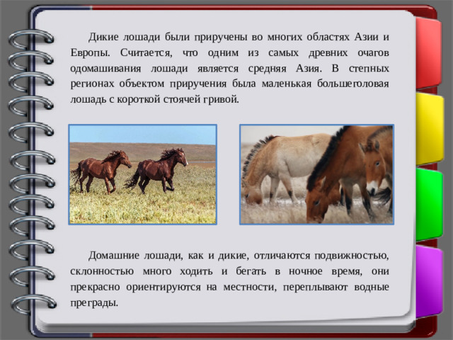 Дикие лошади были приручены во многих областях Азии и Европы. Считается, что одним из самых древних очагов одомашивания лошади является средняя Азия. В степных регионах объектом приручения была маленькая большеголовая лошадь с короткой стоячей гривой. Домашние лошади, как и дикие, отличаются подвижностью, склонностью много ходить и бегать в ночное время, они прекрасно ориентируются  на местности, переплывают водные преграды.