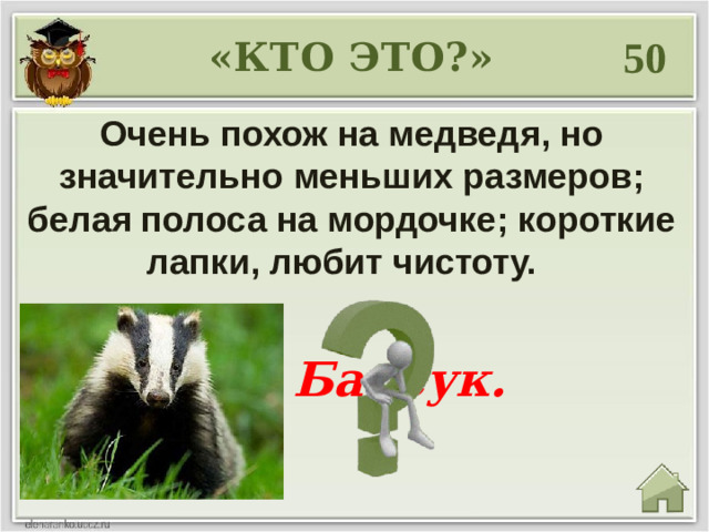 50 «КТО ЭТО?» Очень похож на медведя, но значительно меньших размеров; белая полоса на мордочке; короткие лапки, любит чистоту.   Барсук.