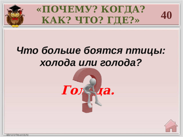 «ПОЧЕМУ? КОГДА? КАК? ЧТО? ГДЕ?» 40 Что больше боятся птицы: холода или голода?  Голода.