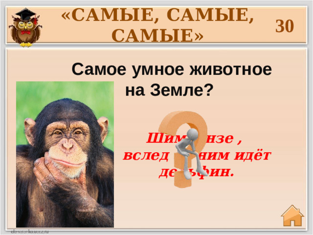 «САМЫЕ, САМЫЕ, САМЫЕ» 30 Самое умное животное на Земле? Шимпанзе , вслед за ним идёт дельфин.