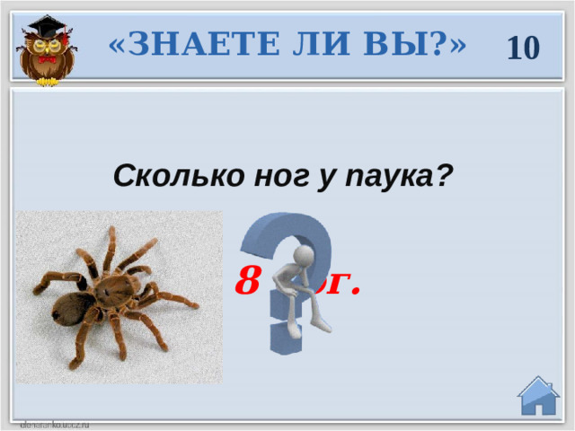 «ЗНАЕТЕ ЛИ ВЫ?» 10 Сколько ног у паука?  8 ног.