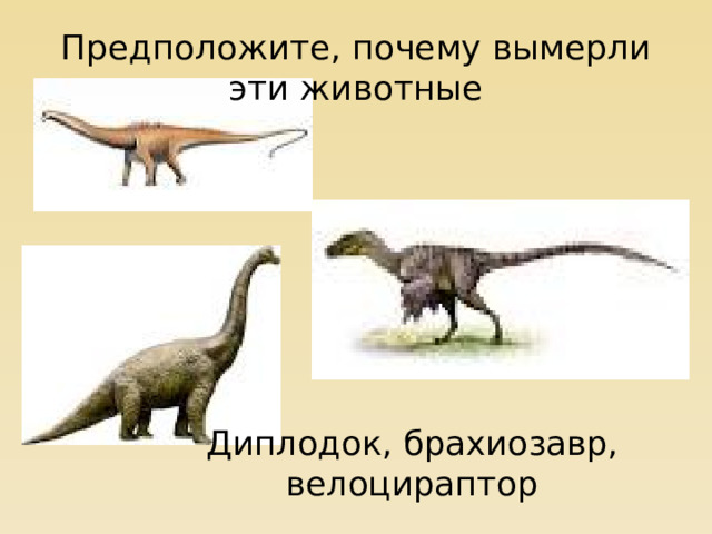 Предположите, почему вымерли эти животные Диплодок, брахиозавр, велоцираптор