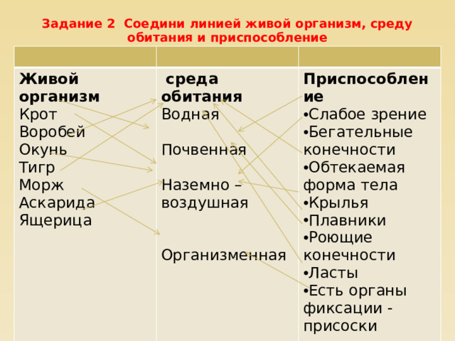 Задание 2 Соедини линией живой организм, среду обитания и приспособление   Живой организм   среда обитания Крот Приспособление Водная Воробей   Окунь Слабое зрение Бегательные конечности Обтекаемая форма тела Крылья Плавники Роющие конечности Ласты Есть органы фиксации - присоски Почвенная Тигр Морж   Аскарида Наземно – воздушная   Ящерица   Организменная