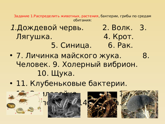 Задание 1.Распределить животных, растения , бактерии, грибы по средам обитания:      1. Дождевой червь. 2. Волк. 3. Лягушка. 4. Крот. 5. Синица. 6. Рак.