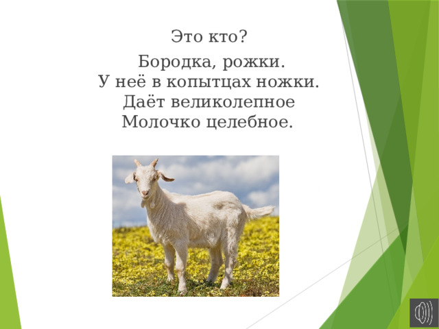 Это кто?  Бородка, рожки.  У неё в копытцах ножки.  Даёт великолепное  Молочко целебное.  