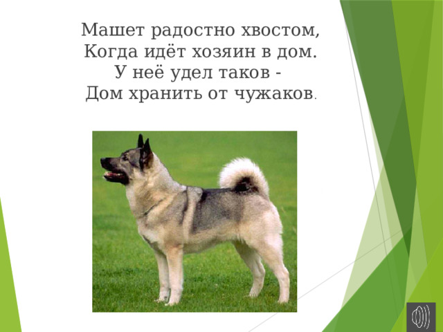 Машет радостно хвостом,  Когда идёт хозяин в дом.  У неё удел таков -   Дом хранить от чужаков .