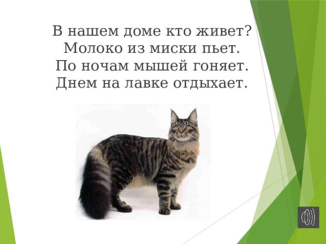 В нашем доме кто живет?  Молоко из миски пьет.  По ночам мышей гоняет.  Днем на лавке отдыхает.