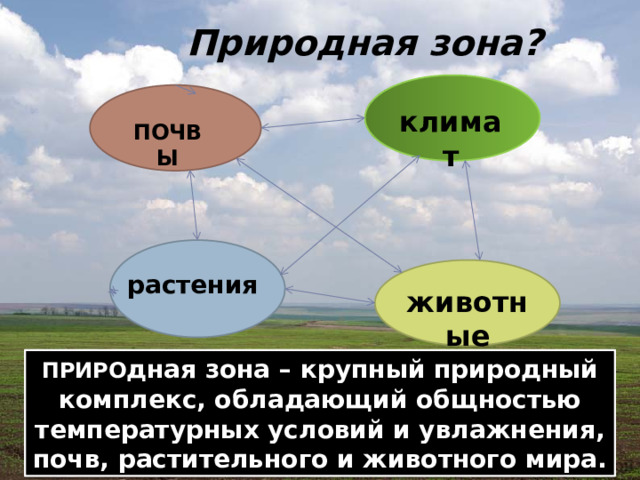 Природная зона? климат ПОЧВЫ растения животные ПРИРО дная зона – крупный природный комплекс, обладающий общностью температурных условий и увлажнения, почв, растительного и животного мира.