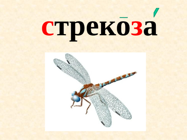 с треко з а