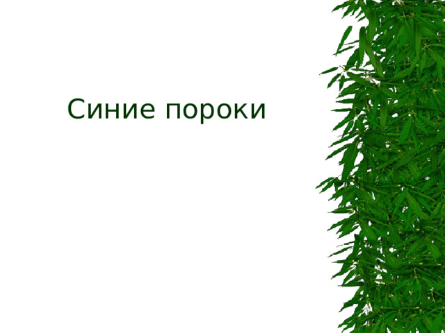 Синие пороки