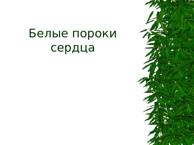 Белые пороки сердца