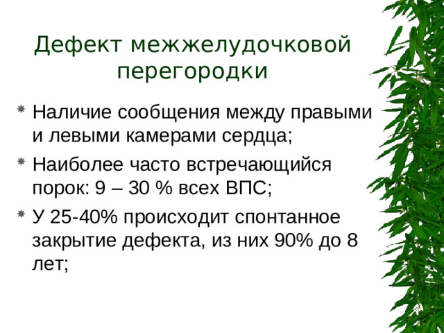 Дефект межжелудочковой перегородки