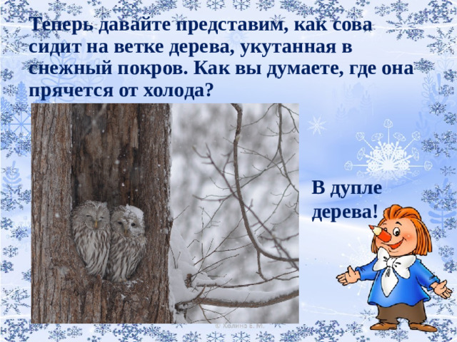 Теперь давайте представим, как сова сидит на ветке дерева, укутанная в снежный покров. Как вы думаете, где она прячется от холода?   В дупле дерева!