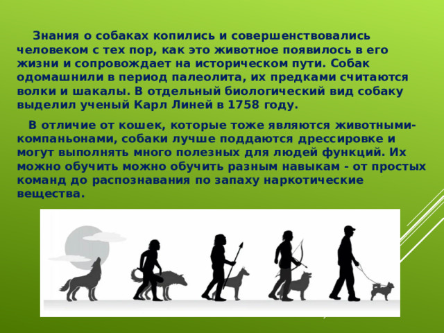 Знания о собаках копились и совершенствовались человеком с тех пор, как это животное появилось в его жизни и сопровождает на историческом пути. Собак одомашнили в период палеолита, их предками считаются волки и шакалы. В отдельный биологический вид собаку выделил ученый Карл Линей в 1758 году.  В отличие от кошек, которые тоже являются животными-компаньонами, собаки лучше поддаются дрессировке и могут выполнять много полезных для людей функций. Их можно обучить можно обучить разным навыкам - от простых команд до распознавания по запаху наркотические вещества.