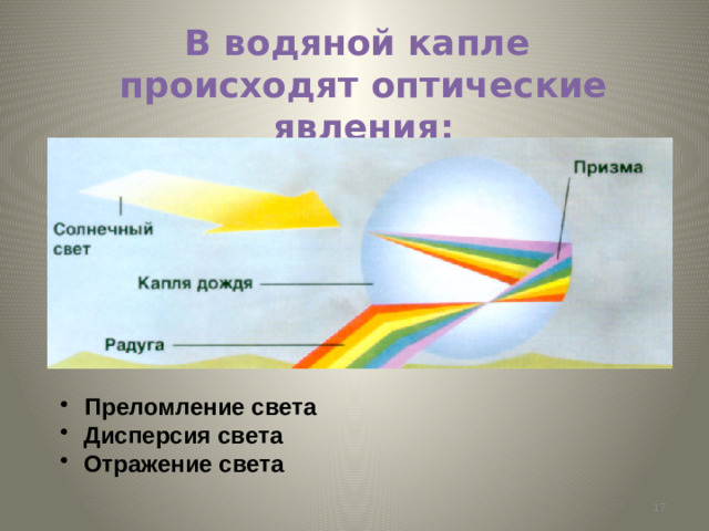 В водяной капле  происходят оптические явления:  Преломление света  Дисперсия света  Отражение света