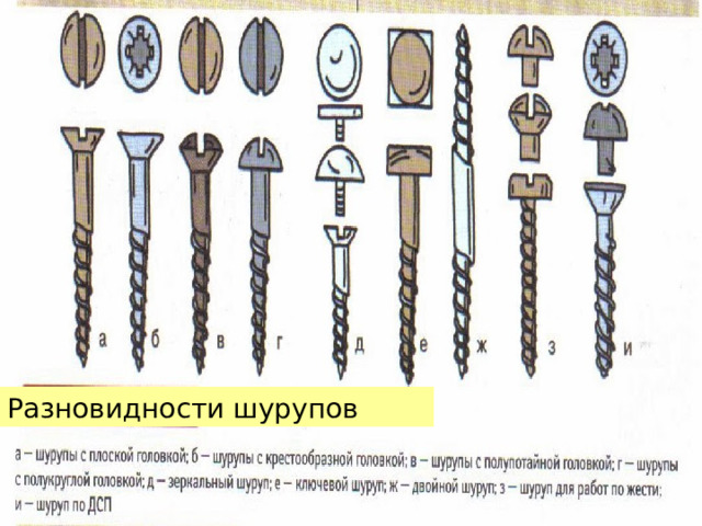 Разновидности шурупов