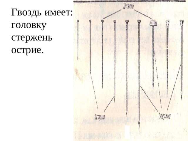 Гвоздь имеет:  головку  стержень  острие.