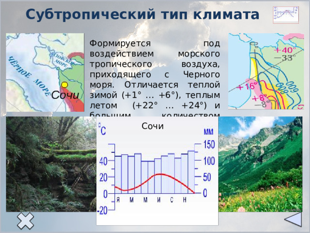 Субтропический тип климата Формируется под воздействием морского тропического воздуха, приходящего с Черного моря. Отличается теплой зимой (+1° … +6°), теплым летом (+22° … +24°) и большим количеством осадков (до 1000мм). Сочи