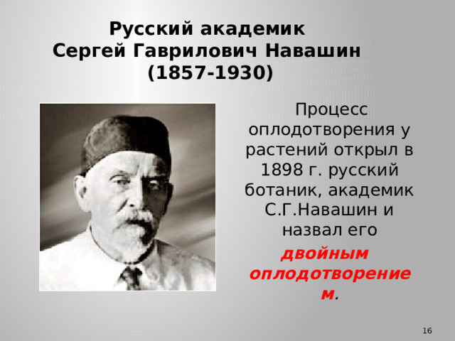 Русский академик  Сергей Гаврилович Навашин  (1857-1930)  Процесс оплодотворения у растений открыл в 1898 г. русский ботаник, академик С.Г.Навашин и назвал его  двойным оплодотворением . Вслед за опылением происходит следующий процесс – оплодотворение, который был открыт в 1898 г. русским ботаником, академиком С.Г.Навашиным и назвал его ДВОЙНЫМ ОПЛОДОТВОРЕНИЕМ. В конце объяснения вы должны будете ответить на вопрос по чему этот процесс получил такое название? 11 11