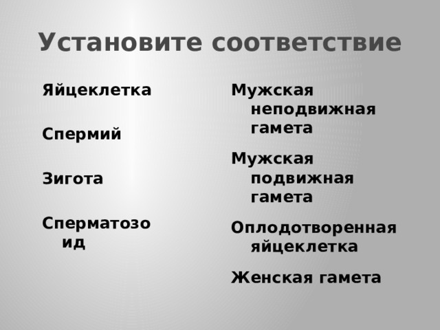 Установите соответствие Яйцеклетка Мужская неподвижная гамета   Спермий Мужская подвижная гамета   Зигота Оплодотворенная яйцеклетка   Женская гамета Сперматозоид