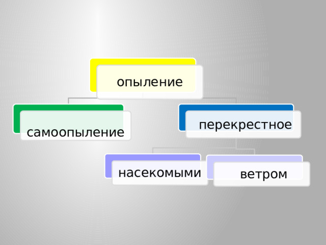 опыление  перекрестное  самоопыление насекомыми  ветром