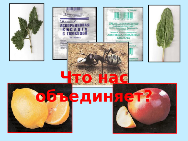 Что нас объединяет?