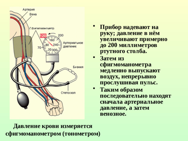 Прибор надевают на руку; давление в нём увеличивают примерно до 200 миллиметров ртутного столба. Затем из сфигмоманометра медленно выпускают воздух, непрерывно прослушивая пульс. Таким образом последовательно находят сначала артериальное давление, а затем венозное.