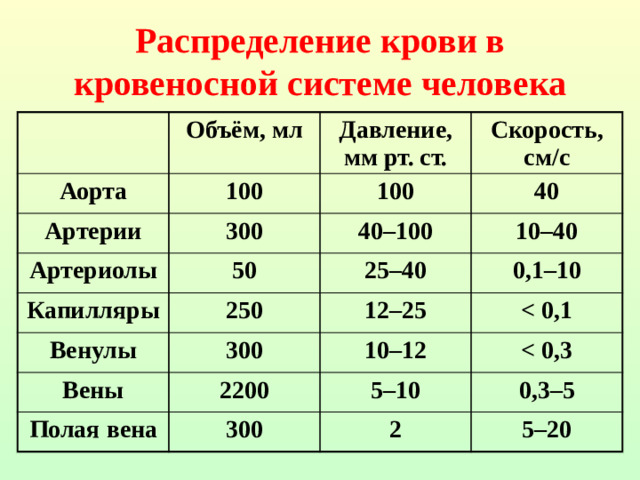 Распределение крови в кровеносной системе человека Аорта Объём, мл 100 Давление, мм рт. ст. Артерии Артериолы Скорость, см/с 100 300 40 50 Капилляры 40–100 10–40 250 Венулы 25–40 0,1–10 300 Вены 12–25 Полая вена 2200 10–12   300 5–10 0,3–5 2 5–20