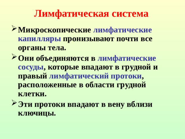 Лимфатическая система