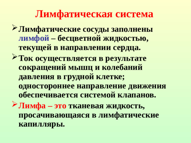 Лимфатическая система