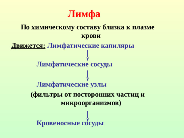 Лимфа По химическому составу близка к плазме крови Движется:  Лимфатические капиляры         Лимфатические сосуды       Лимфатические узлы (фильтры от посторонних частиц и микроорганизмов)       Кровеносные сосуды