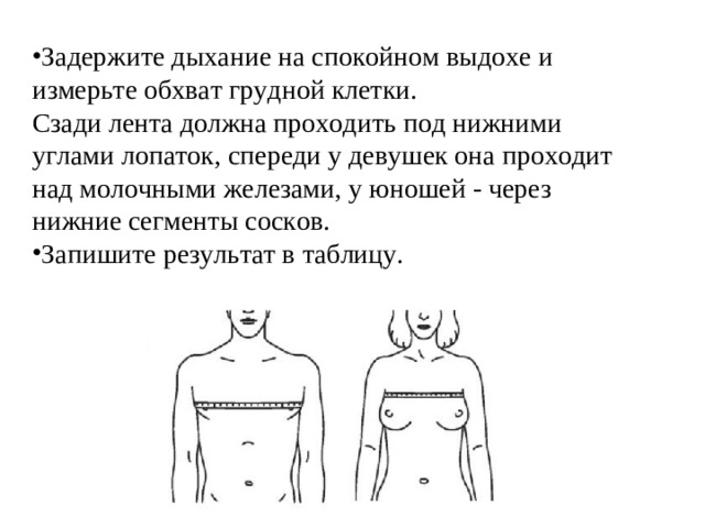 Задержите дыхание на спокойном выдохе и измерьте обхват грудной клетки. Сзади лента должна проходить под нижними углами лопаток, спереди у девушек она проходит над молочными железами, у юношей - через нижние сегменты сосков. Запишите результат в таблицу.