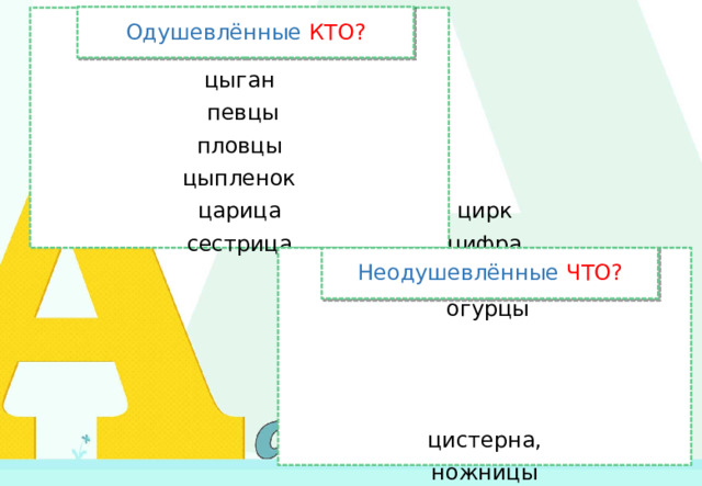 Одушевлённые КТО? цыган  певцы пловцы цыпленок царица сестрица Неодушевлённые ЧТО? цирк цифра цыпочки  огурцы цистерна, ножницы кольцо  цикорий  нарцисс