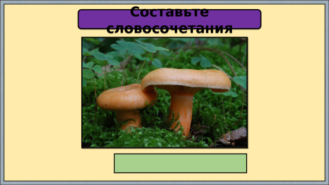 Составьте словосочетания