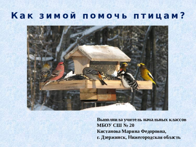 Как зимой помочь птицам? Выполнила учитель начальных классов МБОУ СШ № 20 Кистанова Марина Федоровна, г. Дзержинск, Нижегородская область