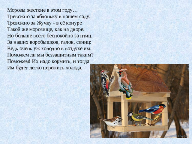 Морозы жесткие в этом году… Тревожно за яблоньку в нашем саду. Тревожно за Жучку - в её конуре Такой же морозище, как на дворе. Но больше всего беспокойно за птиц, За наших воробышков, галок, синиц: Ведь очень уж холодно в воздухе им. Поможем ли мы беззащитным таким? Поможем! Их надо кормить, и тогда Им будет легко пережить холода.