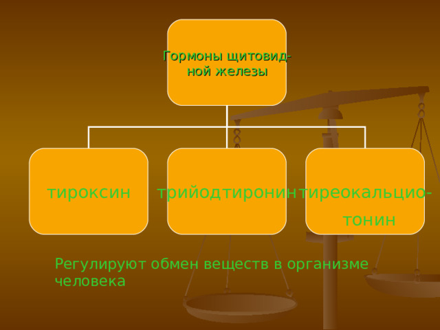 Гормоны щитовид- ной железы тироксин трийодтиронин тиреокальцио- тонин Регулируют обмен веществ в организме человека