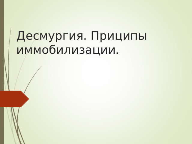 Десмургия. Приципы иммобилизации.