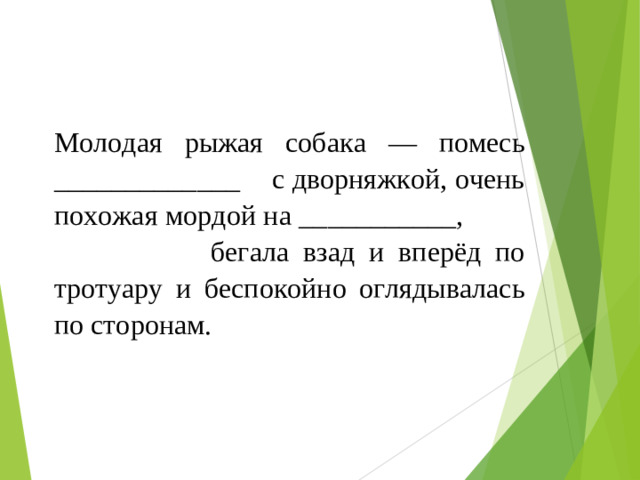 Молодая рыжая собака — помесь _____________ с дворняжкой, очень похожая мордой на ___________,  бегала взад и вперёд по тротуару и беспокойно оглядывалась по сторонам.