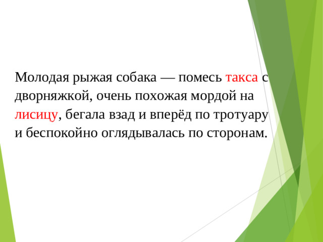 Молодая рыжая собака — помесь такса с дворняжкой, очень похожая мордой на лисицу , бегала взад и вперёд по тротуару и беспокойно оглядывалась по сторонам.