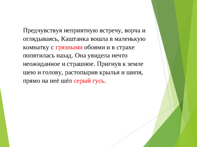 Предчувствуя неприятную встречу, ворча и оглядываясь, Каштанка вошла в маленькую комнатку с грязными обоями и в страхе попятилась назад. Она увидела нечто неожиданное и страшное. Пригнув к земле шею и голову, растопырив крылья и шипя, прямо на неё шёл серый гусь .