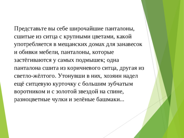 Представьте вы себе широчайшие панталоны, сшитые из ситца с крупными цветами, какой употребляется в мещанских домах для занавесок и обивки мебели, панталоны, которые застёгиваются у самых подмышек; одна панталона сшита из коричневого ситца, другая из светло-жёлтого. Утонувши в них, хозяин надел ещё ситцевую курточку с большим зубчатым воротником и с золотой звездой на спине, разноцветные чулки и зелёные башмаки...