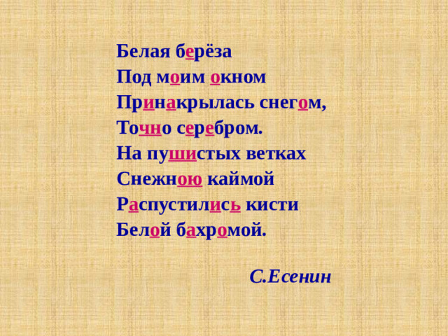 Белая б е рёза Под м о им о кном Пр и н а крылась снег о м, То чн о с е р е бром. На пу ши стых ветках Снежн ою каймой Р а спустил и с ь кисти Бел о й б а хр о мой.   С.Есенин