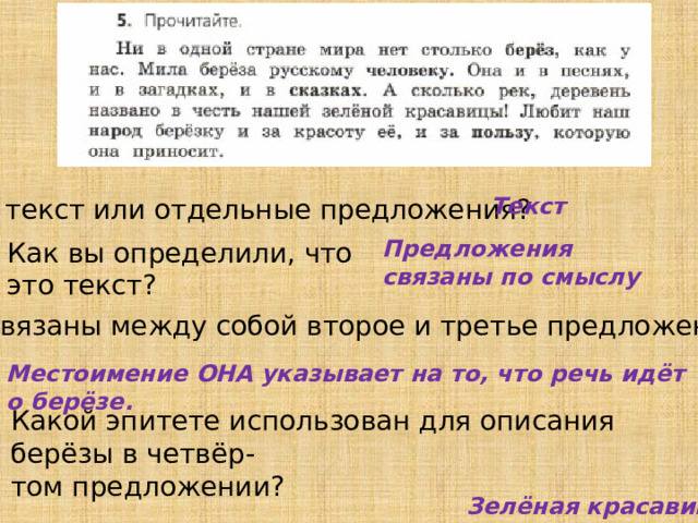 Текст Это текст или отдельные предложения? Предложения связаны по смыслу Как вы определили, что это текст? Как связаны между собой второе и третье предложения? Местоимение ОНА указывает на то, что речь идёт о берёзе. Какой эпитете использован для описания берёзы в четвёр- том предложении? Зелёная красавица