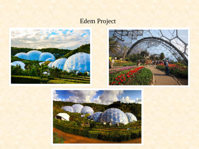 Edem Project