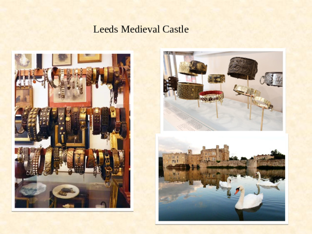 Leeds Medieval Castle