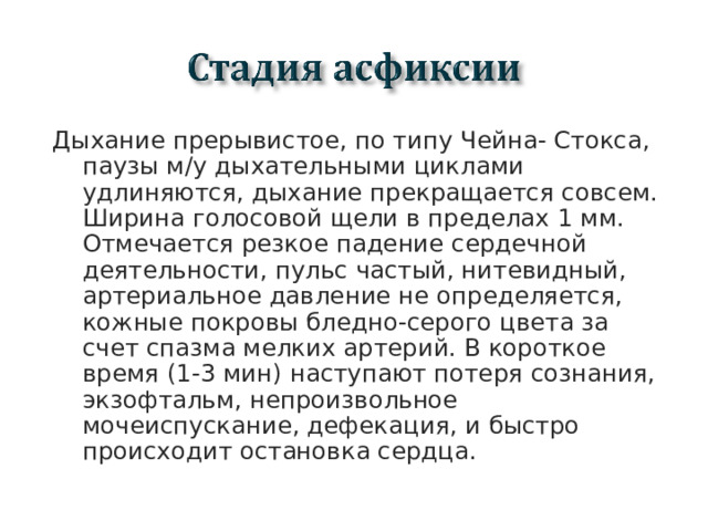 Дыхание прерывистое, по типу Чейна- Стокса, паузы м / у дыхательными циклами удлиняются, дыхание прекращается совсем. Ширина голосовой щели в пределах 1 мм. Отмечается резкое падение сердечной деятельности, пульс частый, нитевидный, артериальное давление не определяется, кожные покровы бледно-серого цвета за счет спазма мелких артерий. В короткое время (1-3 мин) наступают потеря сознания, экзофтальм, непроизвольное мочеиспускание, дефекация, и быстро происходит остановка сердца.